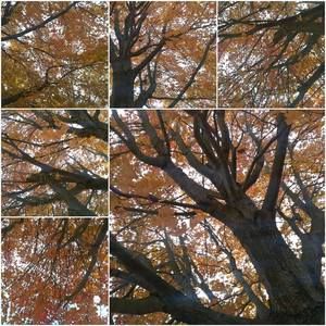 Meet your Posher, Neil